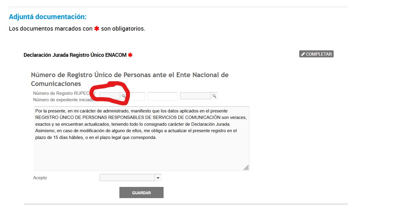 Formulario de la declaración jurada con la primera lupa señalada en rojo